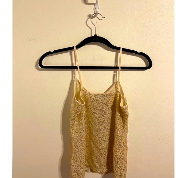 Sequins cami by Express. - Picture 2 of 3